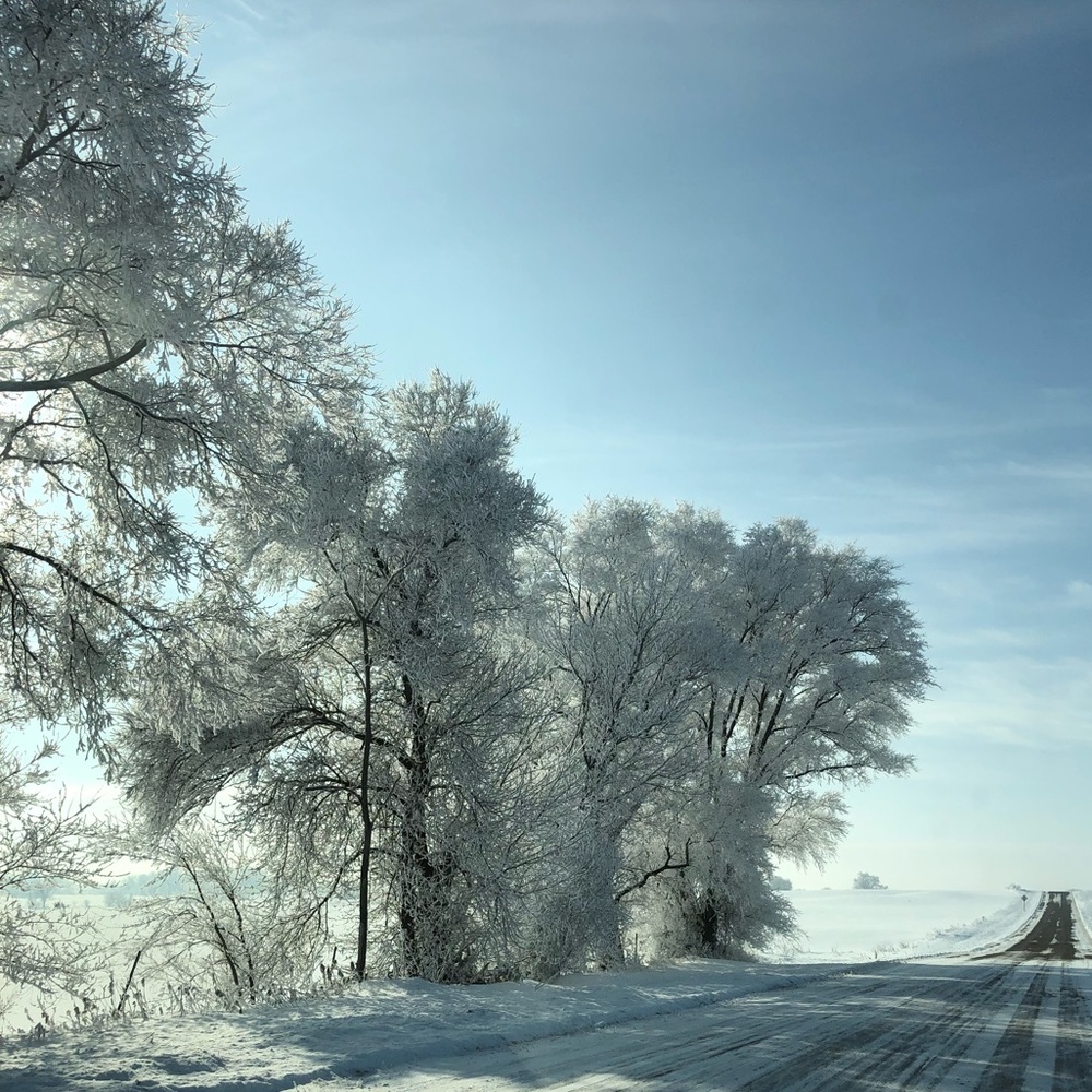 Meet your Posher, Areli